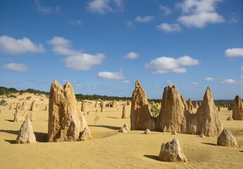 Golden Desert of the Pinnacles