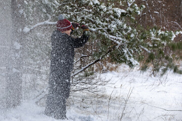 A cheerful boy moves a snowy fir branch in the forest.