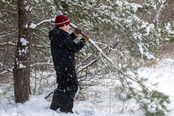 A mischievous boy is playing in the winter forest during a walk, he is shaking a snowy fir branch. The child is imitating heavy snowfall.