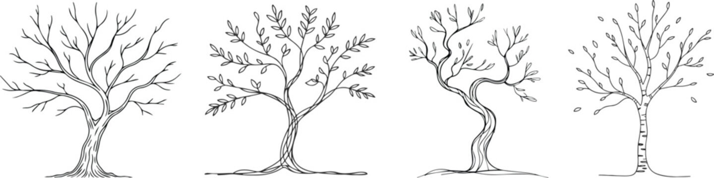 Four hand drawn trees isolated on white background in black and white style. Line art.