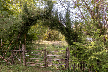 Rustikales Holztor mit Baumtorbogen im Naturgarten, Tirana, Albanien