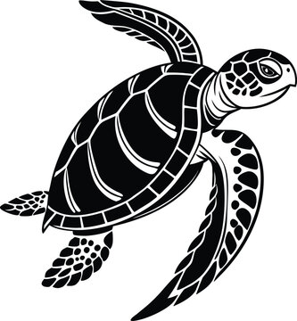 turtle vector illustration