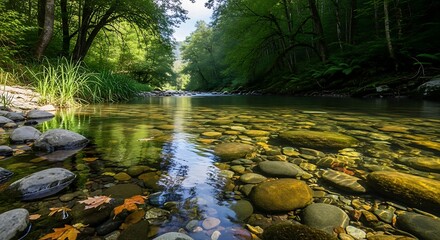 Crystal Clear River Flowing Through Lush Green Forest.