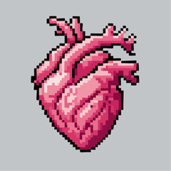 Pixel Human Heart Organ