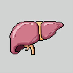 Pixel Human Liver Organ