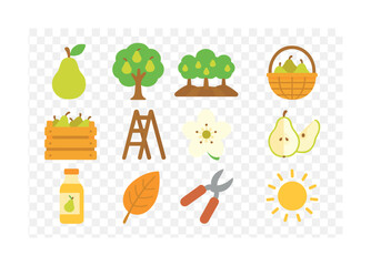 Fototapeta premium Pear harvest elements: trees, fruits, tools, and nature icons