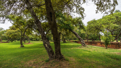 City forest - Stadtwald