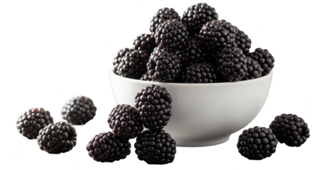 Delicious fresh blackberries piled high in a white bowl photographed in high definition illustration