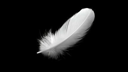 A single white feather floating in the air, symbolizing freedom and balance