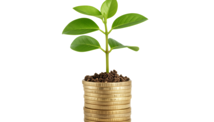 Plant growing from pile of coins isolated on transparent background, investment concept