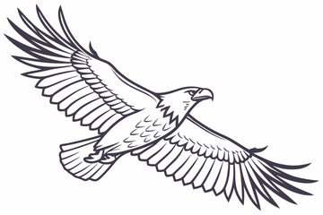 Flying Eagle Line Art Vector - Monochrome Outline Graphic