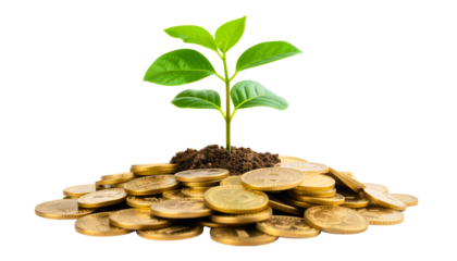 Plant Growing on Coins, Isolated, Cutout, Transparent PNG
