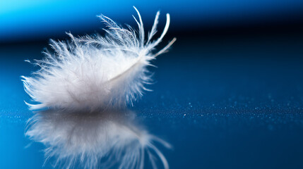 Close-up of a delicate white feather wing, showcasing intricate details in soft, focused light. wildlife magazines, conservation campaigns, designed for nature documentaries and education.