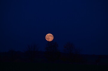 Bright full moon in November shining against a deep black night sky. The detailed lunar surface and strong contrast create a dramatic and atmospheric view of the moon during a clear autumn night. © Petra