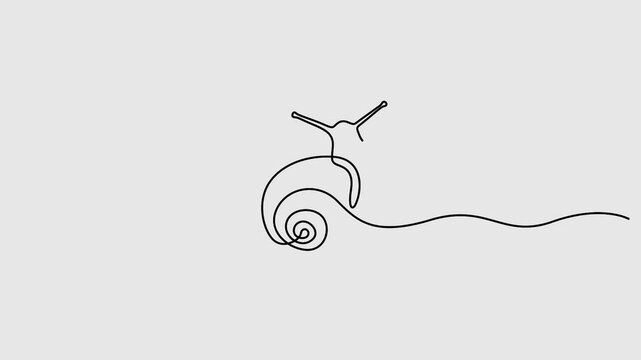 Video. Snail continuous one line drawing animation. Full length single line art 4k animation
