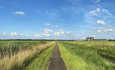 Country road in the field in Gelderland, The Netherlands.