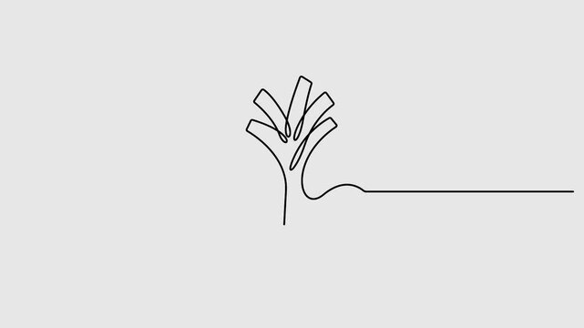 Leek continuous one line art drawing animation video. Full length one line 4K animation