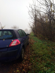 Car parked on a foggy road by a nature path