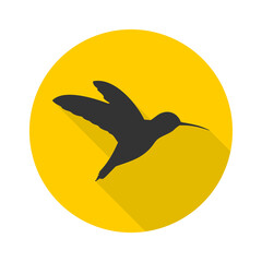 Small bird icon isolated on transparent background