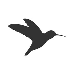 Small bird icon isolated on transparent background
