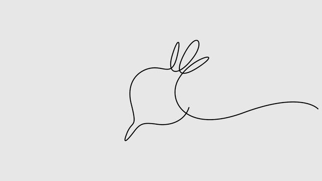 Video. Beetroot continuous one line drawing animation. Full length single line art 4K animation