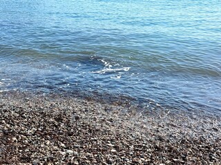 Autumn forest path with golden sunlight and trees