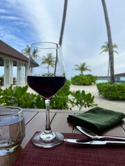 Glass of Red Wine with Maldives Paradise Background