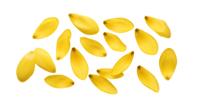 Scattered golden flax seeds, a healthy and natural ingredient for culinary and nutritional purposes