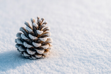 Horizontal close-up of a pine cone lightly dusted with snow, resting on a smooth white surface under clear daylight. The simple, clean composition highlights natural texture and calm 