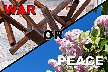 War or peace. Metal anti-tank hedgehogs on one side and vibrant lilac flowers against clear sky on other, symbolizing contrast between war and peace, death and life