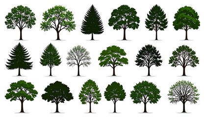 Fototapeta premium Assorted stylized tree illustrations, varying types and foliage