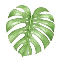 Watercolor illustration of a vibrant green leaf with delicate details and soft brush strokes.