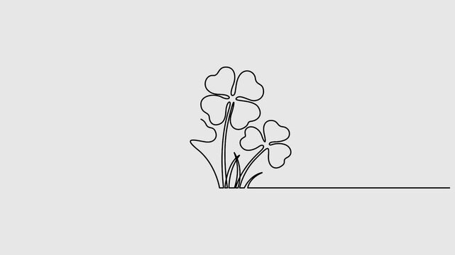Four leaves clover continuous one line drawing animated video. Saint Patrick's Day symbol animation. Irish leaf, Four leaves clover continuous single line drawing animation. Full length one line art 4