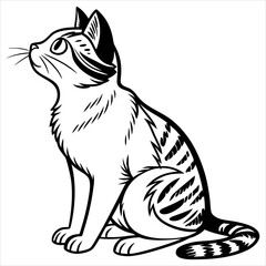 Cat  Vector