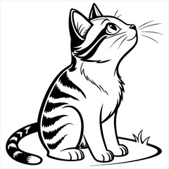 Cat  Vector