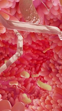 microvilli surface of digestive system, Intestinal villi with bacteria and viruses. Microscopic villi, capillaries for digestion and absorption of food. Human intestine. H. pylori, 3d render	
