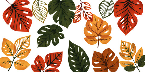 Variety of Monstera leaves in autumn colors dark green burnt orange and yellow hues