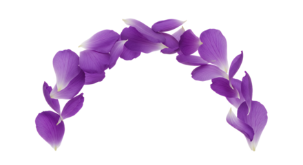 Purple Flower Petal Archway Garland on White Background