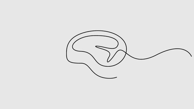 Video. Steak beef continuous one line drawing animation. Full length single line art 4K animation 