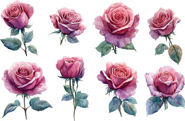 Obraz premium seamless pattern with roses