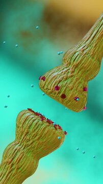neurotransmitter release mechanisms. Neurotransmitters are packaged into synaptic vesicles transmit signals from a neuron to a target cell across a synapse. opioids, Acetylcholine release, 3d render