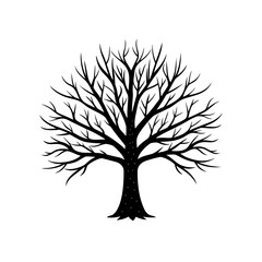 Obraz premium Silhouette of a bare deciduous tree without leaves in winter