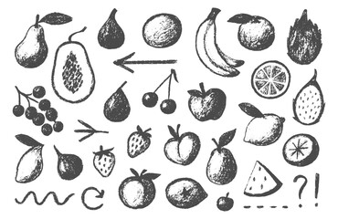 Fruit. Hand Drawn. Sketch. A rustic vector set of various tropical and orchard fruits in an ink or engraving style for a farmers market menu, an organic food brand, or a recipe book.