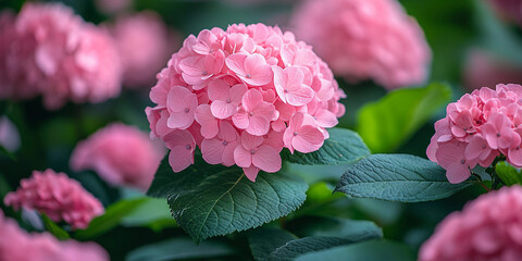 Blooming pink flowers create a vibrant spring scene Generative AI