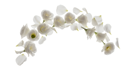 Floral Arch Composition of Delicate White Flowers and Floating Petals