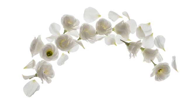 Floral Arch Composition of Delicate White Flowers and Floating Petals