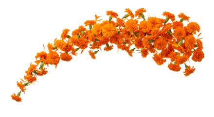 Festive Garland of Marigold Flowers for Celebrations and Decor