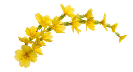 Radiant Yellow Primrose Cascade A Serene Floral Ornament for Delicate Designs and Natural Aesthetics