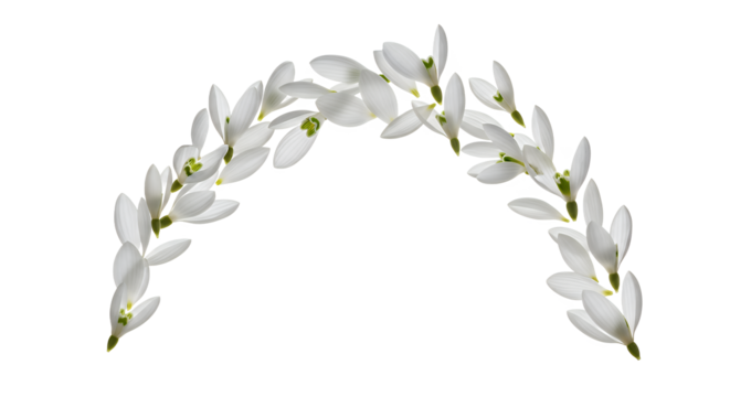 Delicate Garland Elegant Snowdrop Flowers Arched Design for Floral Decorations and Festive Embellishments