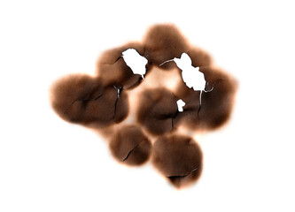 Multiple Burnt Holes and Cracks | Isolated Fire Damage Texture PNG for Grunge Overlay Effects
